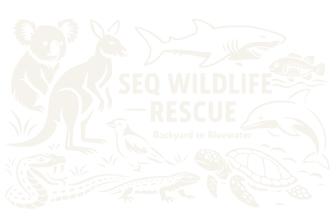 SEQ Wildlife Rescue — koala, kangaroo, shark, magpie, python, goanna, turtle and dolphin illustrations
