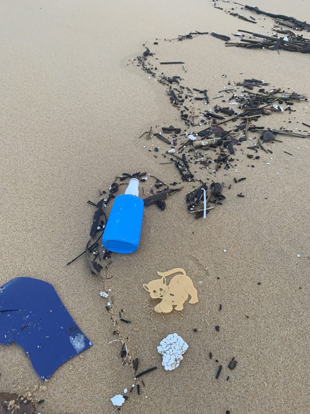 Plastic bottle, fragments and nurdles scattered along the wrack line on an Australian beach